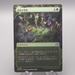 MTG Magic the Gathering Season of Growth WOT 0061 Foil M-NM 2023 Japanese s425 | Merry Japanese TCG Shop