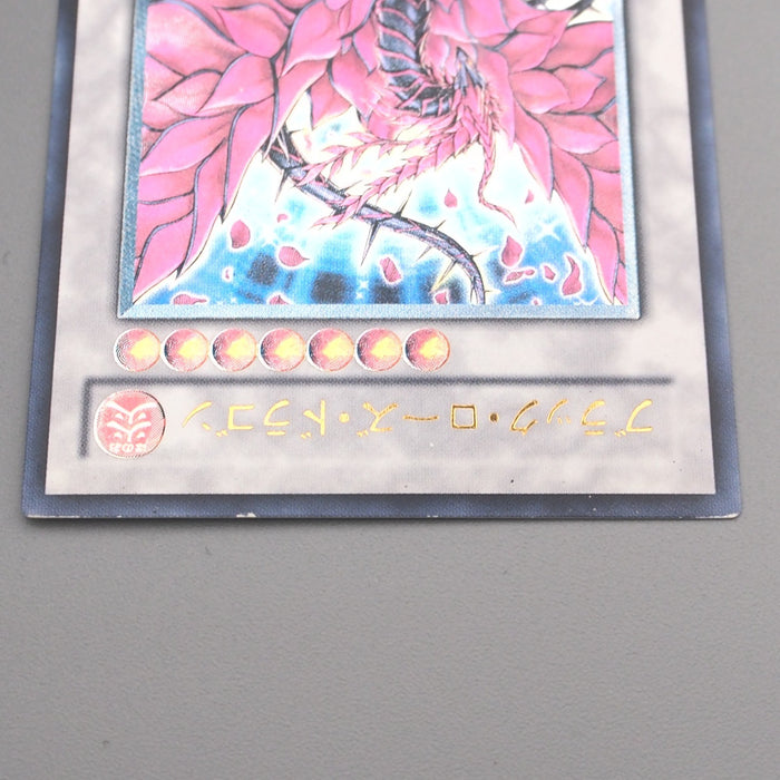 Yu-Gi-Oh Black Rose Dragon CSOC-JP039 Ultimate Rare 2008 NM-EX Japanese s822 | Merry Japanese TCG Shop