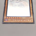 Yu-Gi-Oh Dark Magician 20AP-JP101 20th Ghost Parallel Rare NM Japanese u158 | Merry Japanese TCG Shop