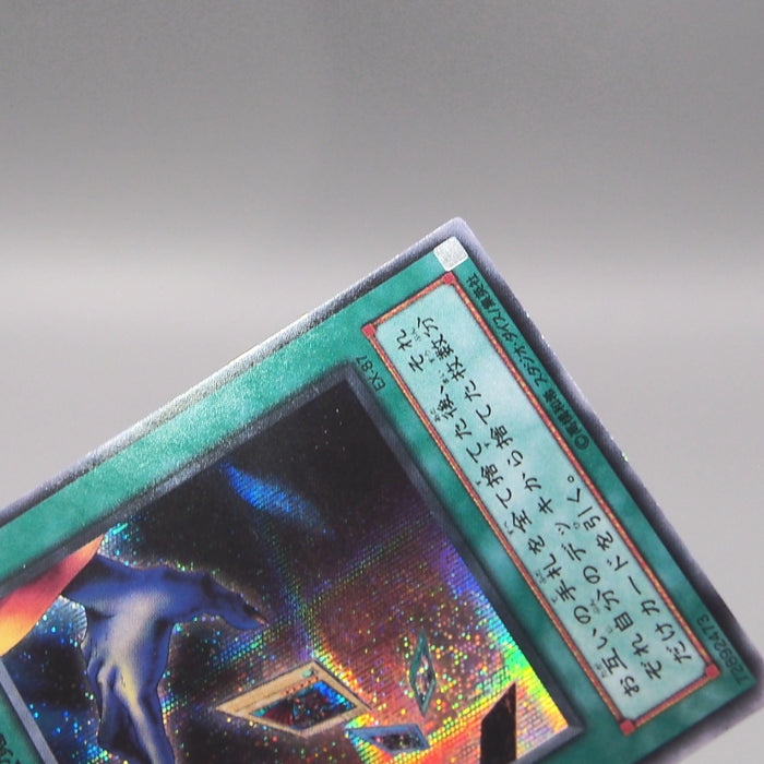 Image #8