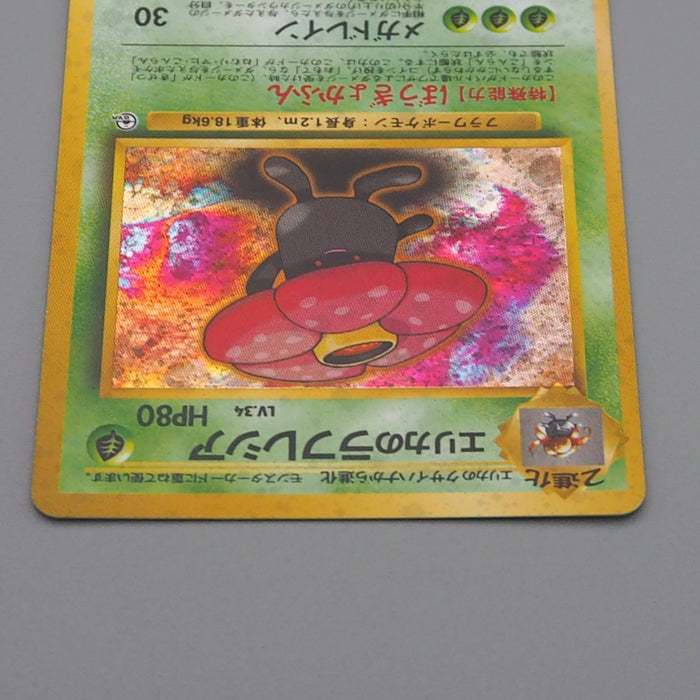 Pokemon Card Erika's Vileplume Lv.34 No.045 Old Back Holo NM Japanese Pokemon Card Erika's Vileplume Lv.34 No.045 Old Back Holo NM Japanese