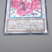Yu-Gi-Oh Black Rose Dragon CSOC-JP039 Ultimate Rare 2008 MINT Japanese q371 | Merry Japanese TCG Shop