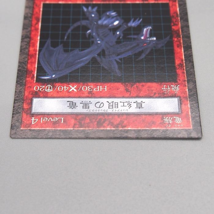 Image #3