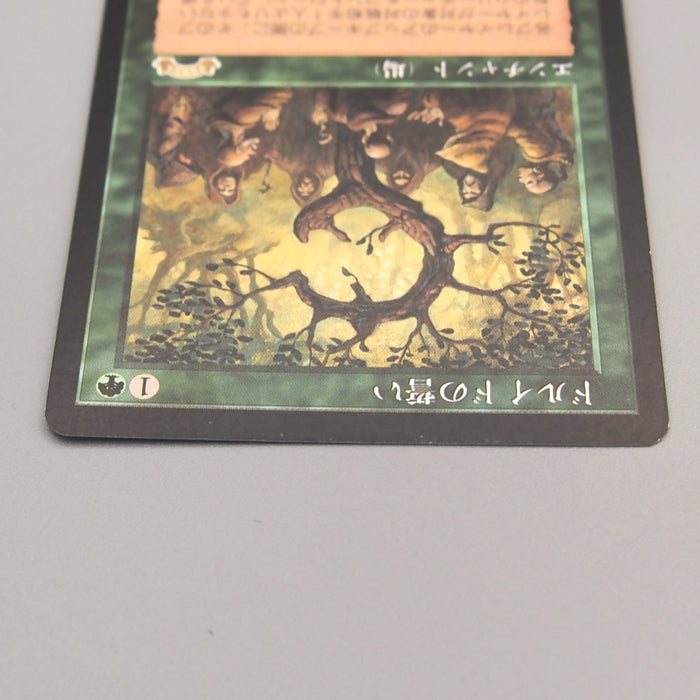 MTG Magic the Gathering Oath of Druids Common 115/143 1998 NM-EX Japanese u036 | Merry Japanese TCG Shop
