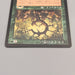 MTG Magic the Gathering Oath of Druids Common 115/143 1998 NM-EX Japanese u036 | Merry Japanese TCG Shop