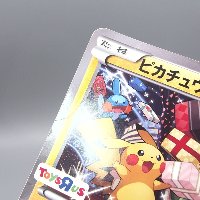 Image #12