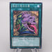 Yu-Gi-Oh Pot of Desires TDIL-JP066 Secret Rare 2016 MINT Japanese s409 | Merry Japanese TCG Shop