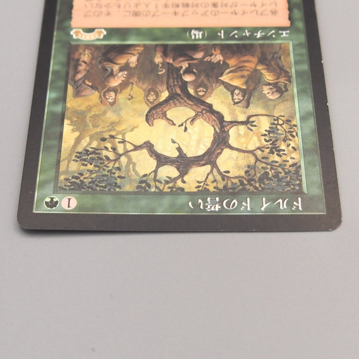 MTG Magic the Gathering Oath of Druids Common 115/143 1998 NM-EX Japanese u035 | Merry Japanese TCG Shop
