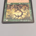 MTG Magic the Gathering Oath of Druids Common 115/143 1998 NM-EX Japanese u035 | Merry Japanese TCG Shop