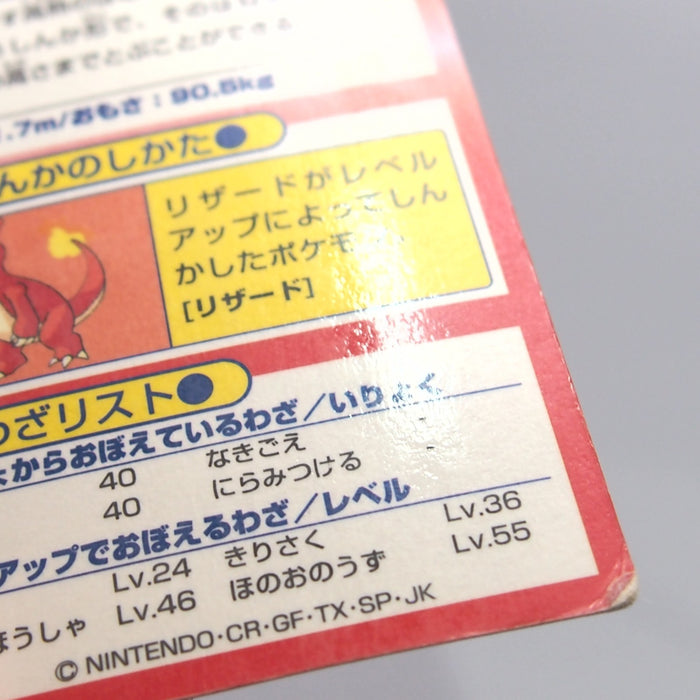 Image #13