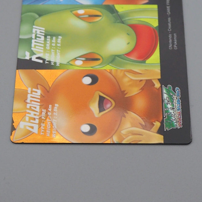 Pokemon Card Zukan Carddass Treecko Torchic Mudkip 05 Prism NM-EX Japanese n732 | Merry Japanese TCG Shop