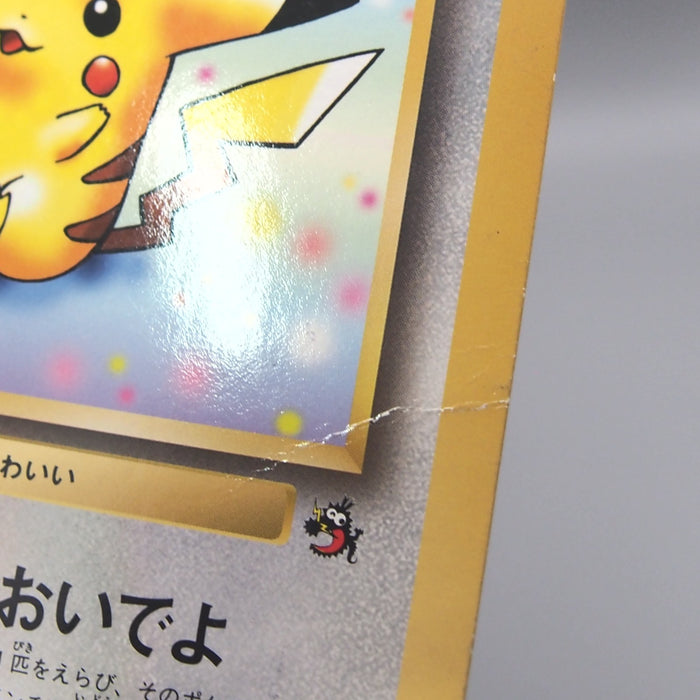 Image #11
