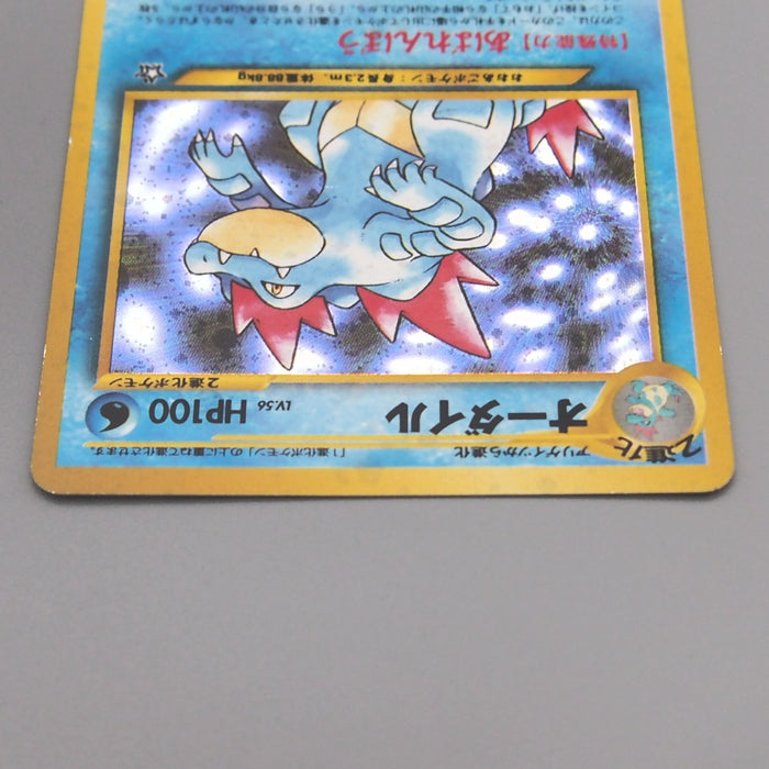 Pokemon Card Feraligatr Lv.56 No.160 Old Back Holo Nintendo EX Japanese t424 | Merry Japanese TCG Shop