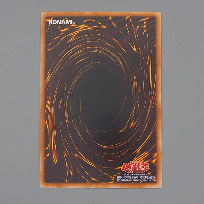 Yu-Gi-Oh yugioh Dark Paladin 303-051 Secret Rare 2002 MINT-NM Japanese n781 | Merry Japanese TCG Shop