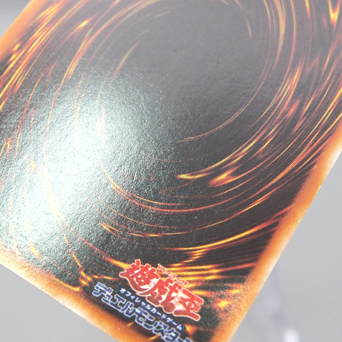 Image #10