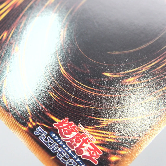 Image #10
