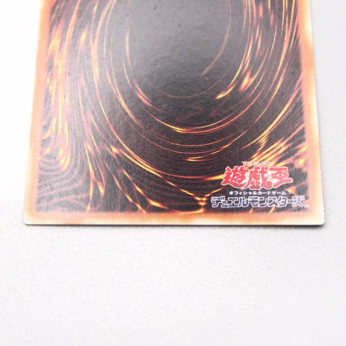 Image #10