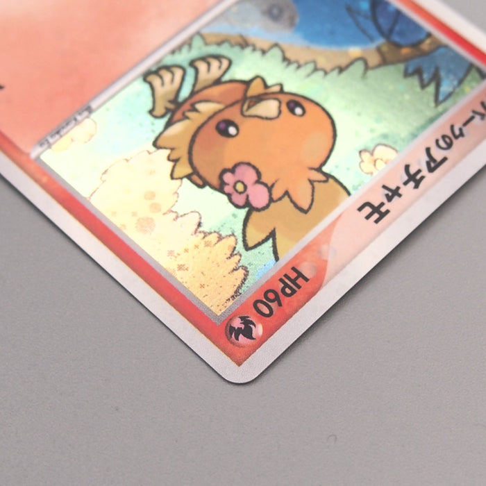 Pokemon Card PokePark's Torchic 002/009 Promo Holo Rare 2005 NM-EX Japanese u169 | Merry Japanese TCG Shop