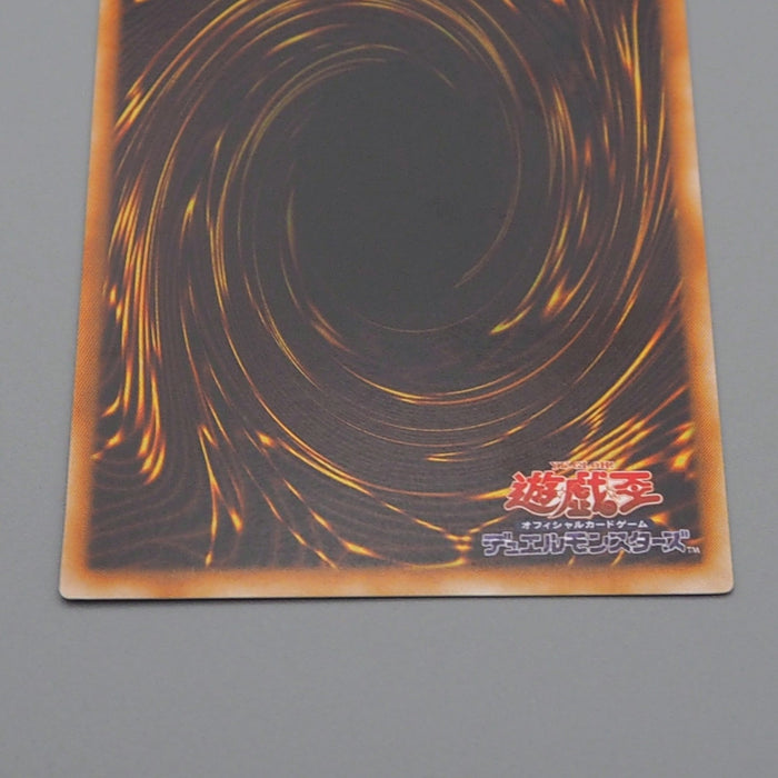 Yu-Gi-Oh Toon Dark Magician Girl G6-02 Secret Rare 2001 MINT Japanese r583 | Merry Japanese TCG Shop