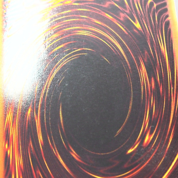 Image #9