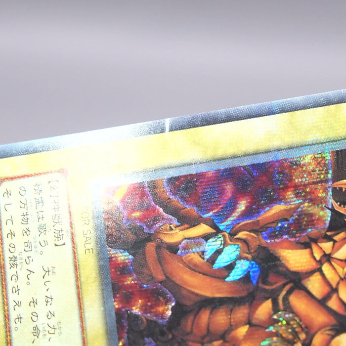 Image #17