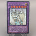 Yu-Gi-Oh Rainbow Neos PTDN-JP044 Ghost Rare 2007 NM-EX Japanese u086 | Merry Japanese TCG Shop