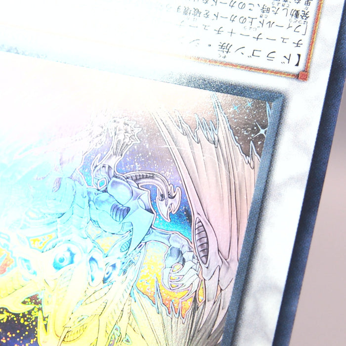 Image #7