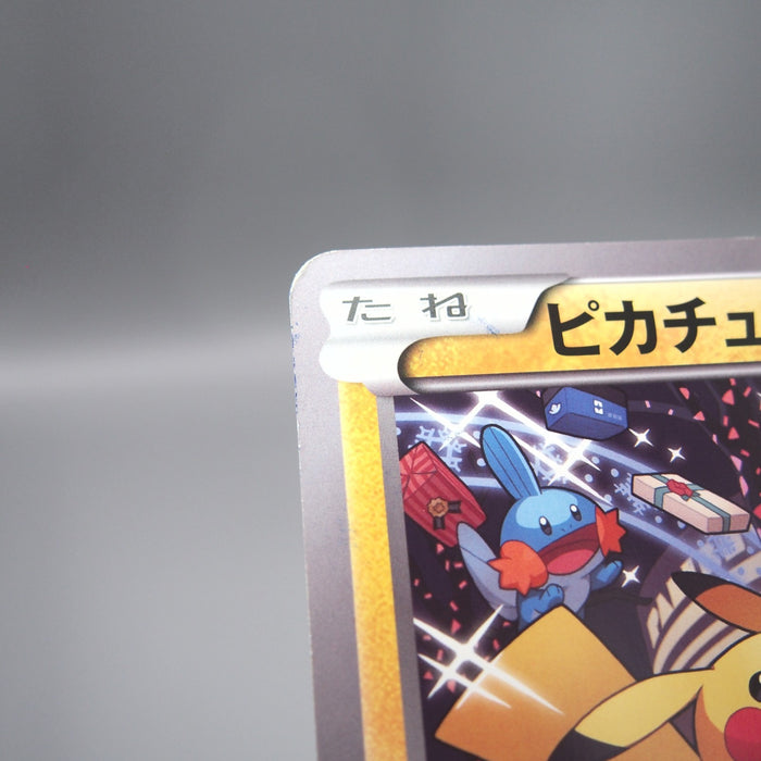 Image #14
