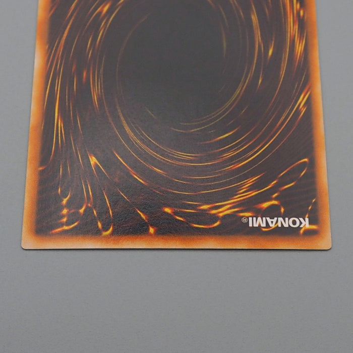 Yu-Gi-Oh Red Eyes Black Dragon PG-09 Ultra Rare 2000 MINT-NM Japanese r226 | Merry Japanese TCG Shop