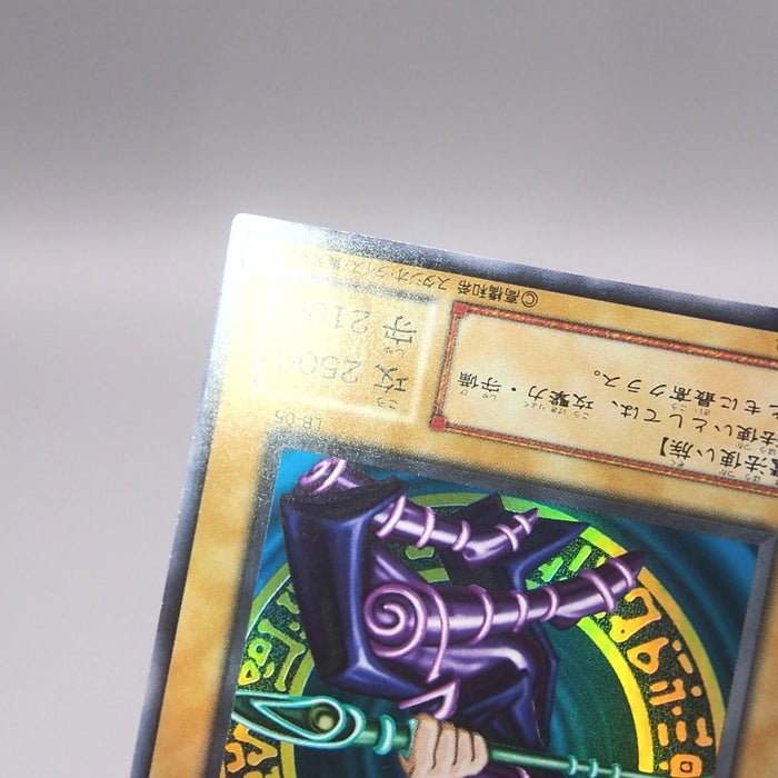 Image #8