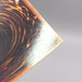 Image #12