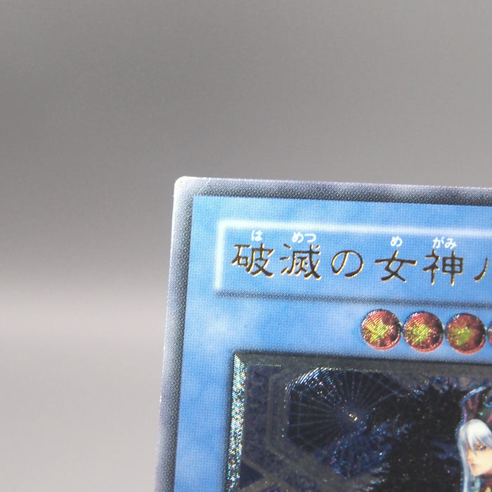 Image #7
