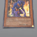 Yu-Gi-Oh The End of Anubis AST-AE000 Secret Rare 2005 NM-EX Asian English r587 | Merry Japanese TCG Shop