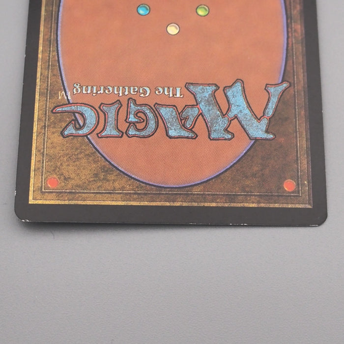 MTG Magic the Gathering Vine Trellis 285/350 Foil NM-EX 1999 Japanese s731 | Merry Japanese TCG Shop