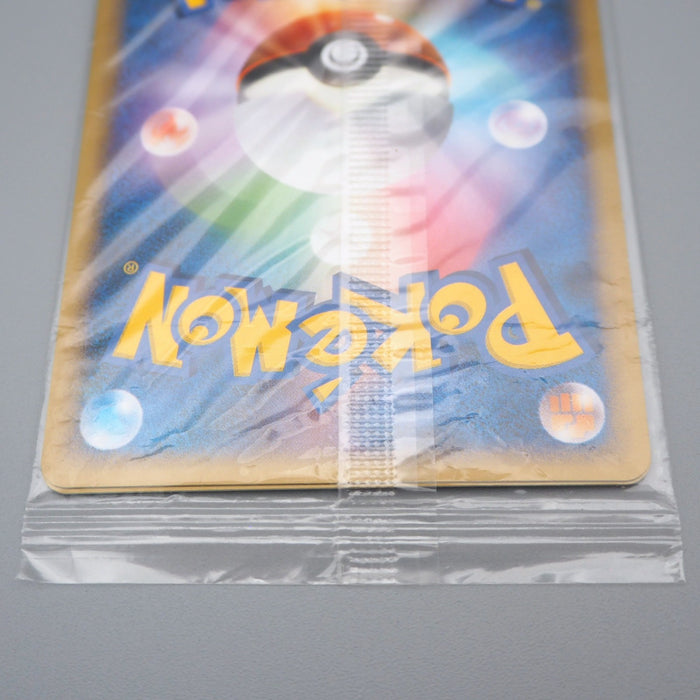 Pokemon Card Turtwig Chimchar Piplup 001-003/PPP Sealed Unopened Japanese P290 | Merry Japanese TCG Shop