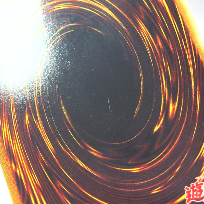 Image #10