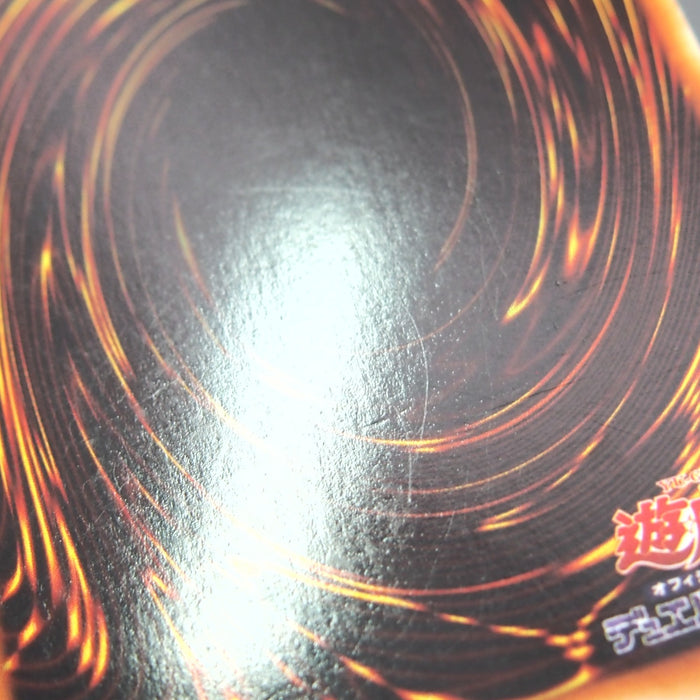 Image #11