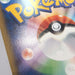 Image #12
