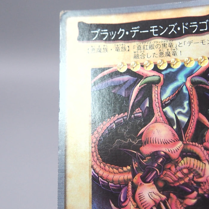 Image #7