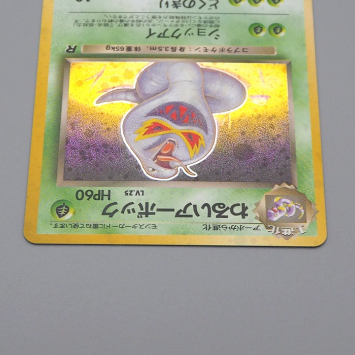 Pokemon Card Dark Arbok No.024 Old Back Nintendo 1997 NM-EX Japanese n482 | Merry Japanese TCG Shop