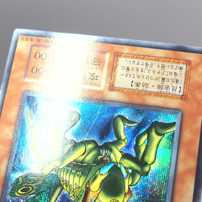 Image #7