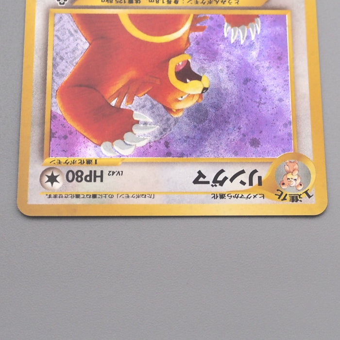 Pokemon Card Ursaring Lv.42 No.217 Holo Old Back Nintendo NM-EX Japanese s591 | Merry Japanese TCG Shop
