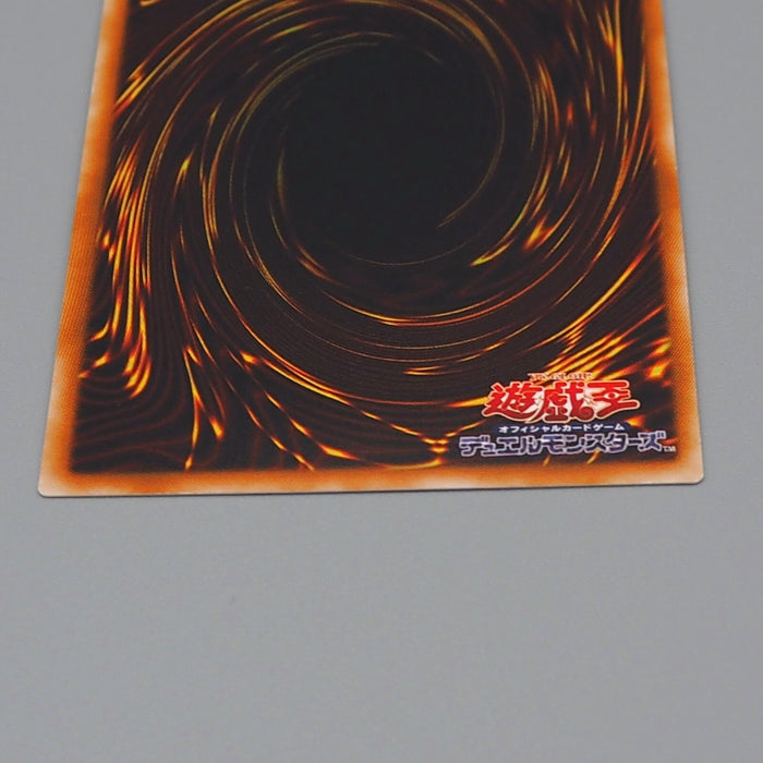 Yu-Gi-Oh yugioh Dark Paladin 303-051 Secret Rare 2002 Near MINT Japanese n829 | Merry Japanese TCG Shop