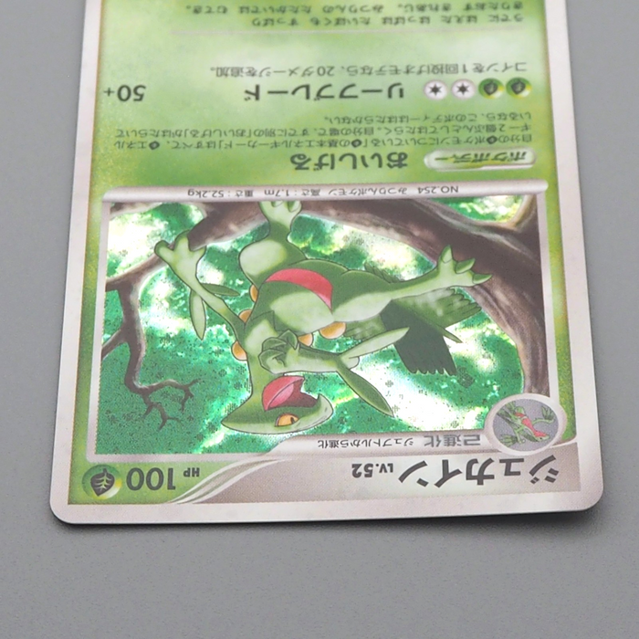 Pokemon Card Sceptile Lv.52 DP4 304 Holo 1st Edition 2007 NM Japanese r431 | Merry Japanese TCG Shop