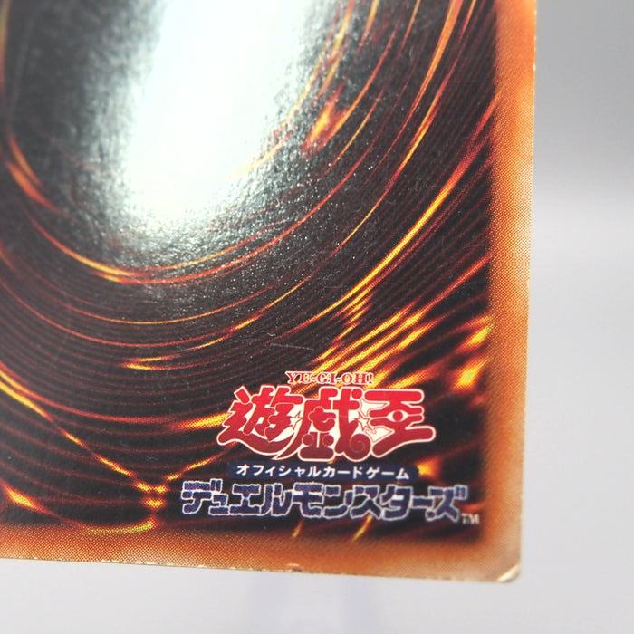 Image #10