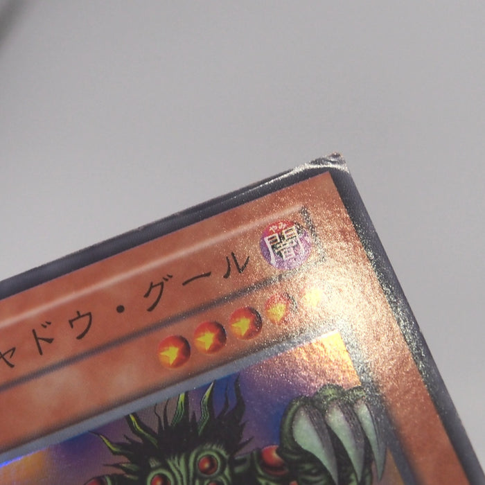 Image #5