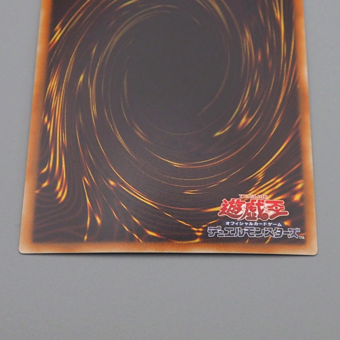 Yu-Gi-Oh Dark Rebellion Xyz Dragon NECH-JP053 Ghost Rare MINT-NM Japanese q783 | Merry Japanese TCG Shop