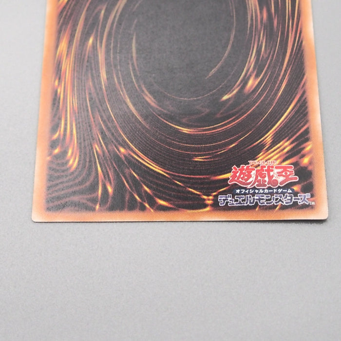 Image #10