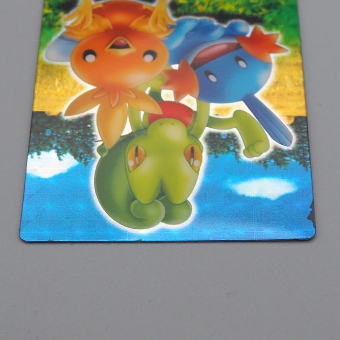 Pokemon Card Zukan Carddass Treecko Torchic Mudkip 05 Prism NM-EX Japanese n732 | Merry Japanese TCG Shop
