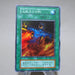 Yu-Gi-Oh yugioh Final Flame Super Rare Initial First Vol.2 EX Japanese j977 | Merry Japanese TCG Shop